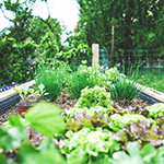 markus-spiske-bk11wZwb9F4-unsplash-Markus-Spiske